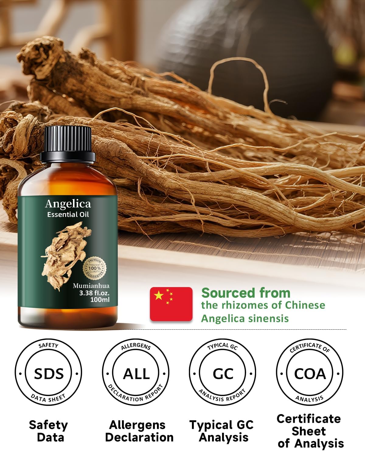 Angelica Root Essential Oil Pure Mumianhua Natural Angelica Oil for Diffuser, Aromatherapy, Skin, Hair, Massage & Candle Making 3.38 Fl Oz