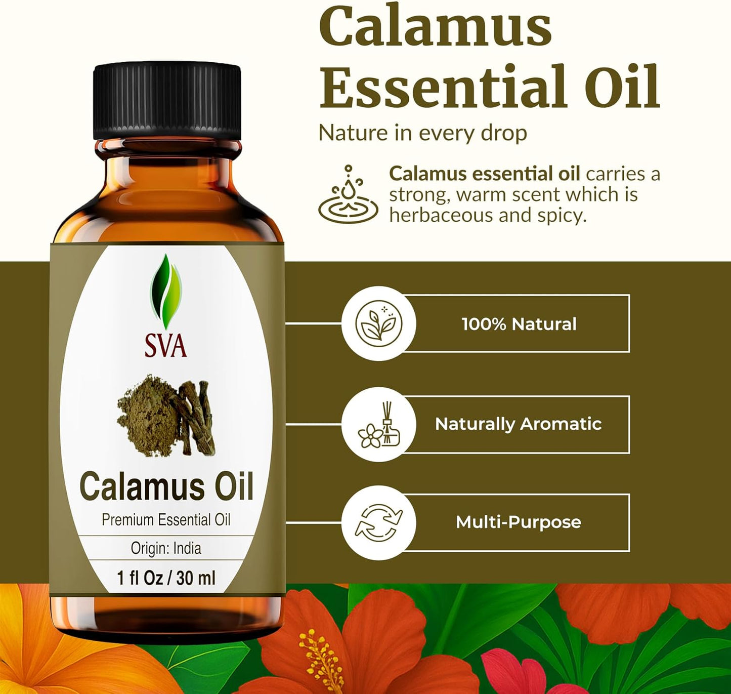 SVA Calamus Essential Oil – 1 Fl Oz – 100% Natural Calamus Oil - for Diffuser, Hair Care, Face, Skin Care, Aromatherapy, Scalp and Body Massage, Soap and Candle Making – with Dropper