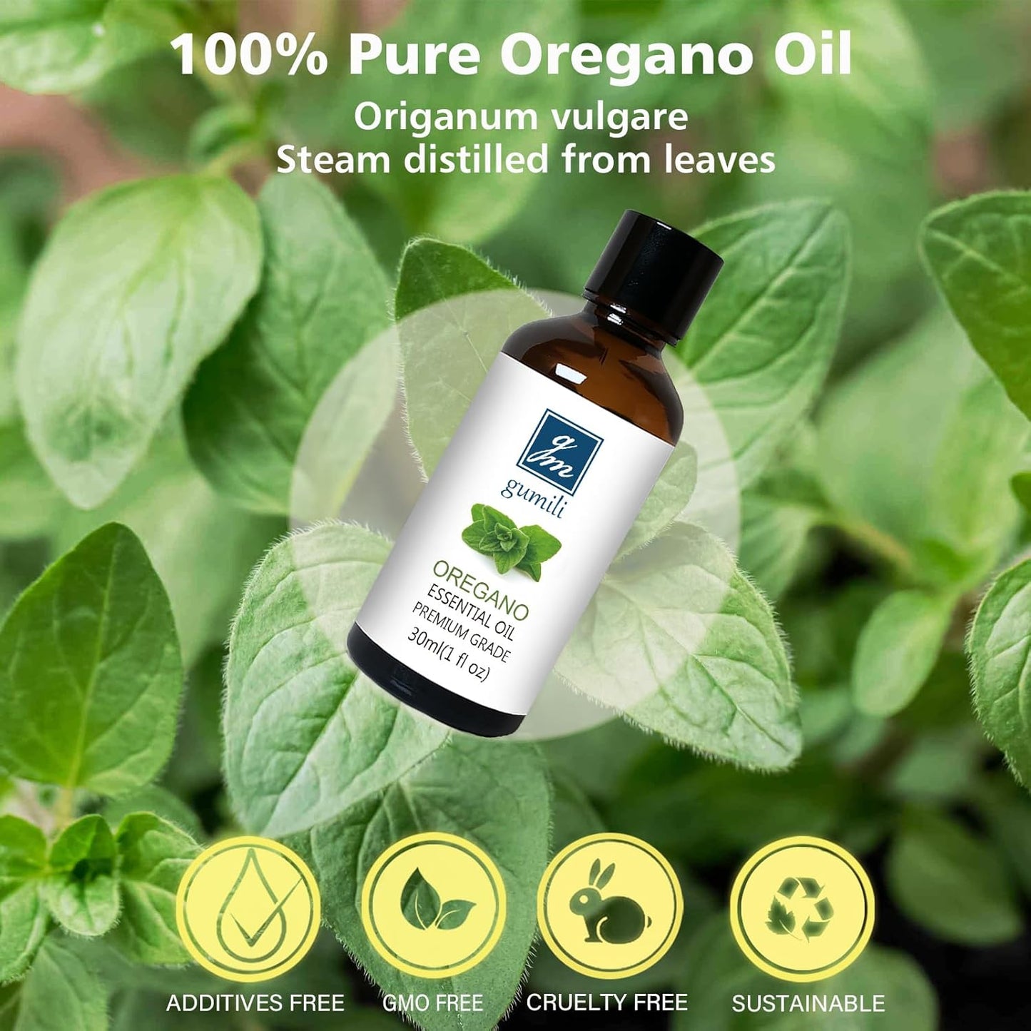 Oregano Essential Oil 1 Oz - 100% Pure & Natural Oregano Oil for Skin, Diffuser, Massage & Aromatherapy - 30ml