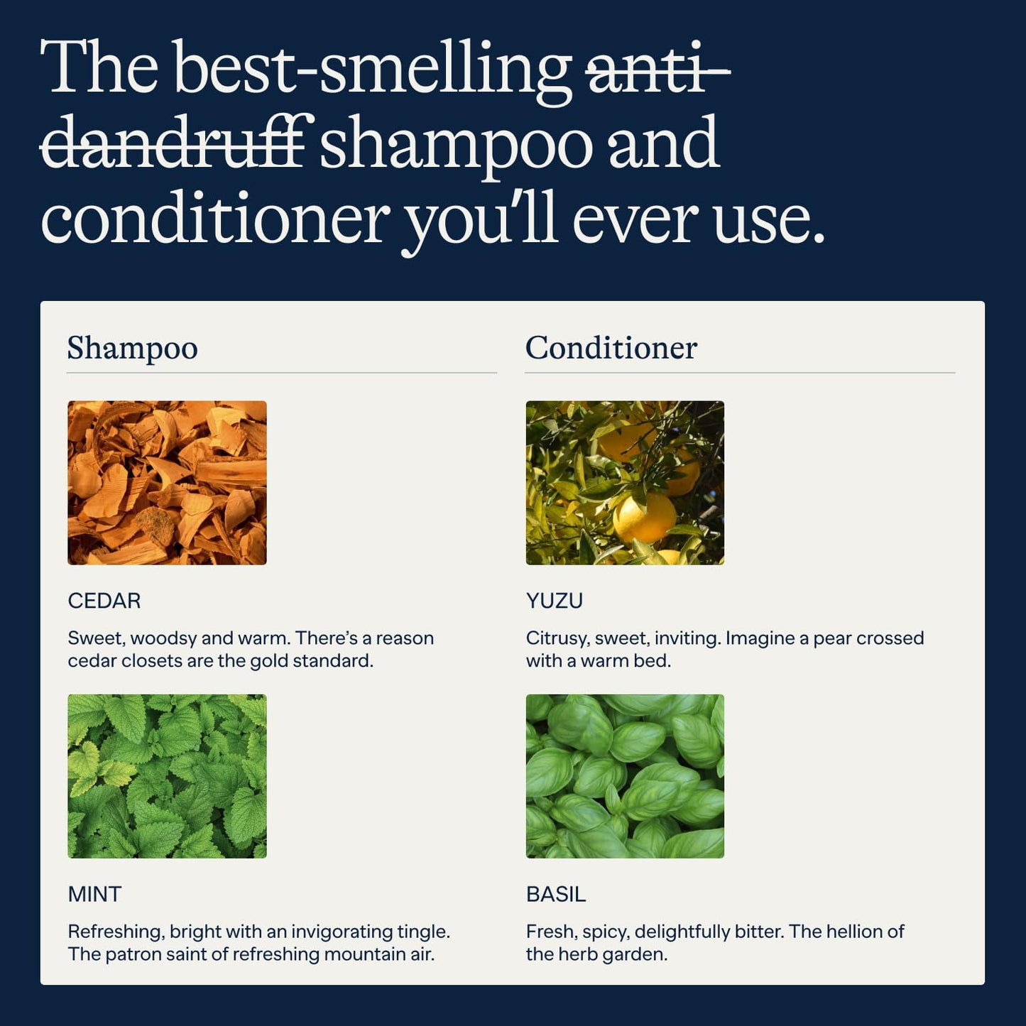 Flakes Anti Dandruff Shampoo and Conditioner Set for Men with Scalp Massager | Dry, Flaky, & Itchy Scalp Shampoo | Sulfate and Paraben Free | Hydrating Shampoo & Moisturizing Conditioner | 9 fl oz