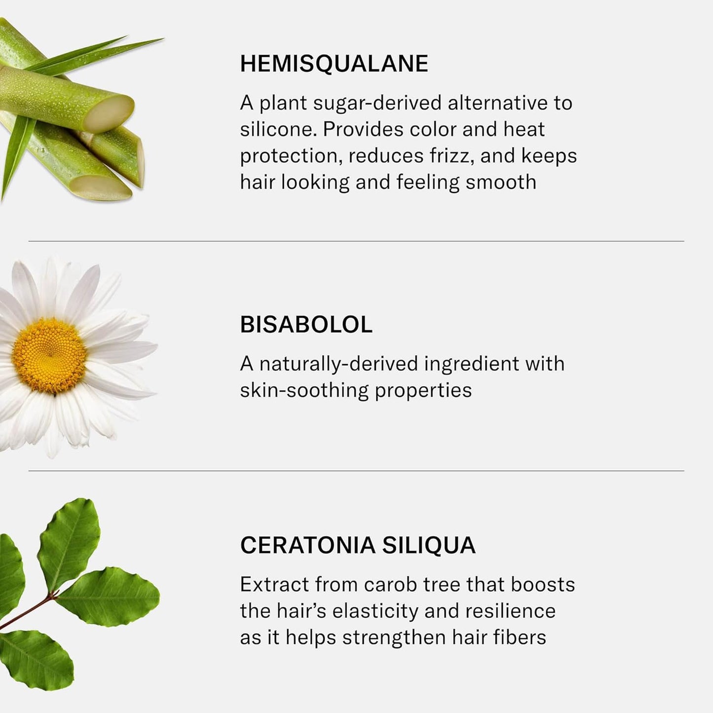 SEEN Leave-In Conditioner, Fragrance Free - Leave-In Hair Conditioner & Heat Protectant Spray- Detangles & Hydrates- No Parabens, Sulfates or Phthalate