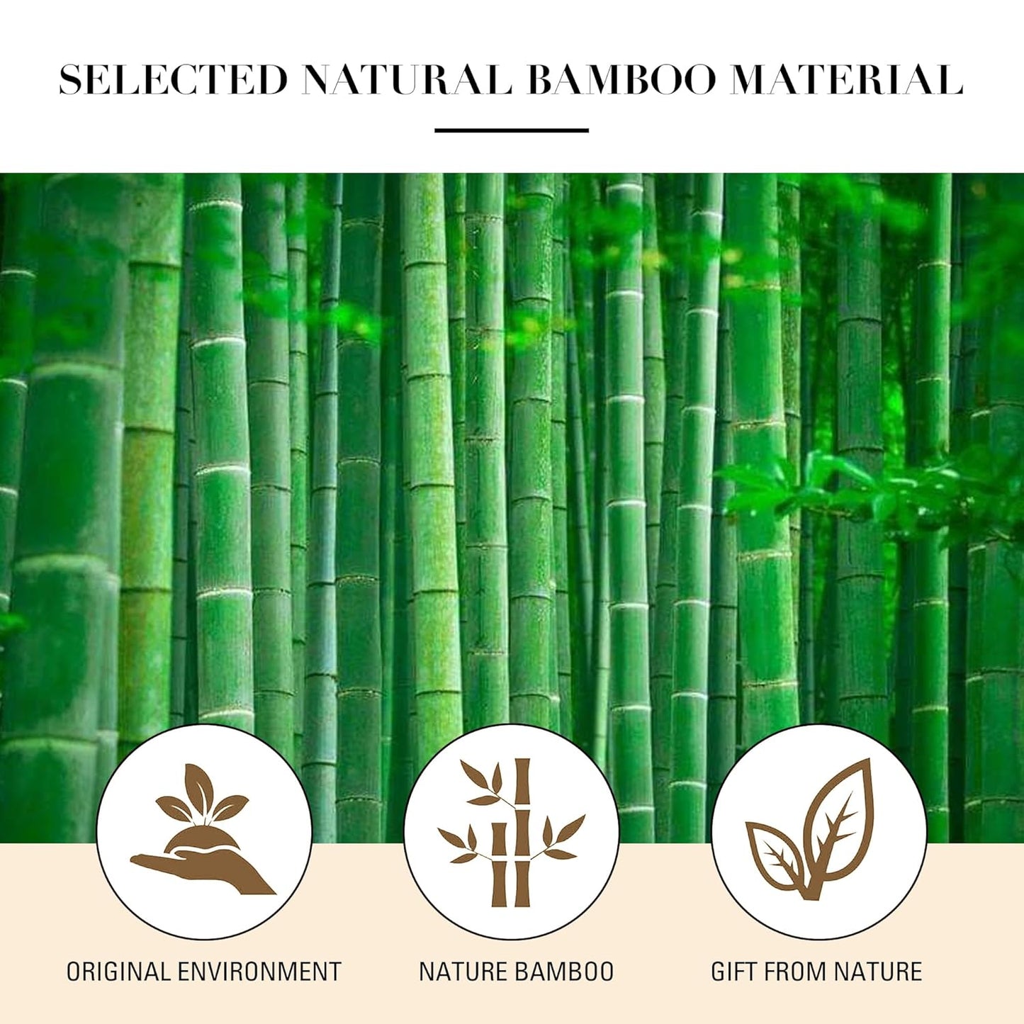 Bamboo Paddle Hair Brush with Steel Bristles for Detangling & Scalp Massage – Ergonomic Bamboo Handle – Anti-Static Metal Bristle Hairbrush for All Hair Types