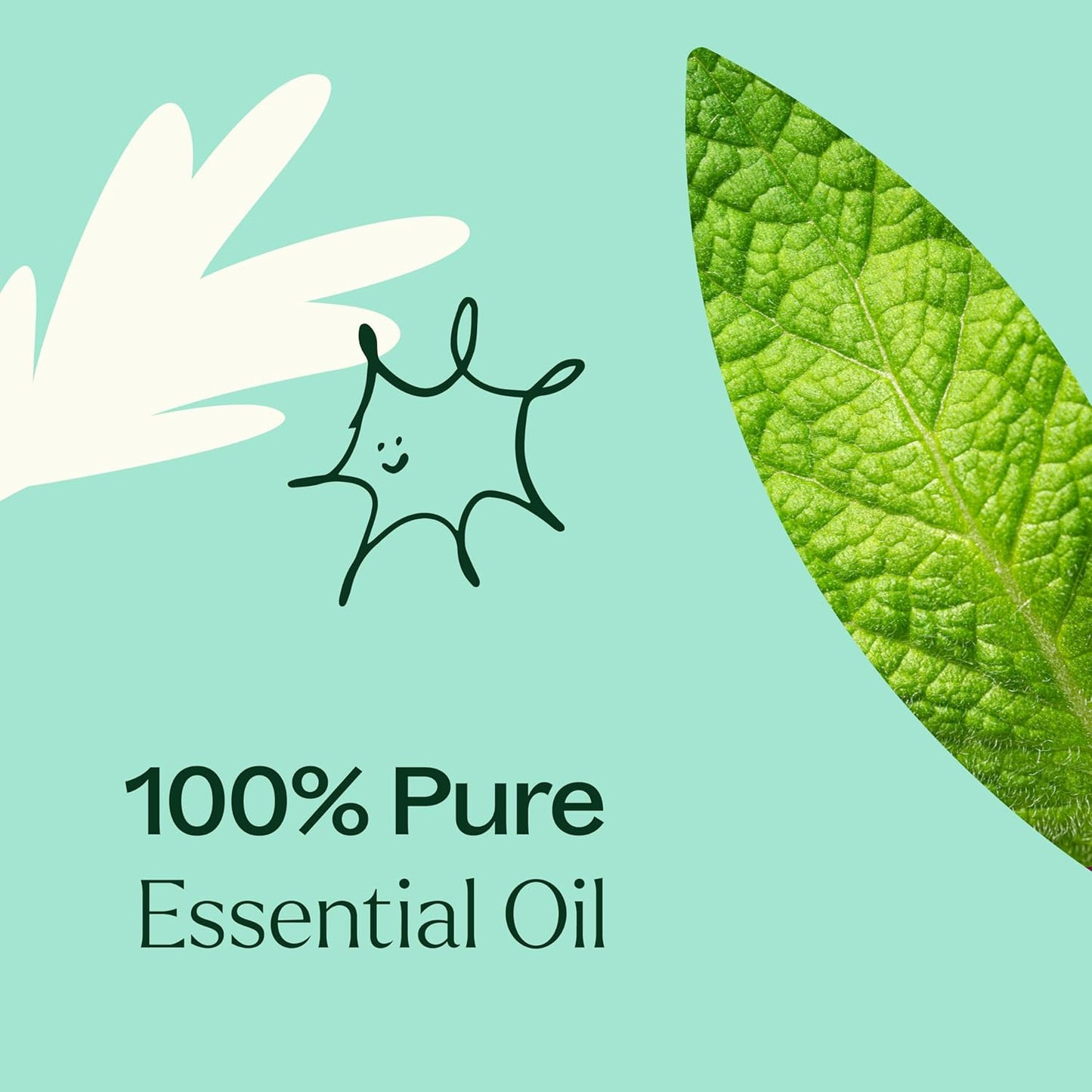 Plant Therapy Tension Relief Essential Oil Blend 10 mL (1/3 oz) 100% Pure, Undiluted, Therapeutic Grade