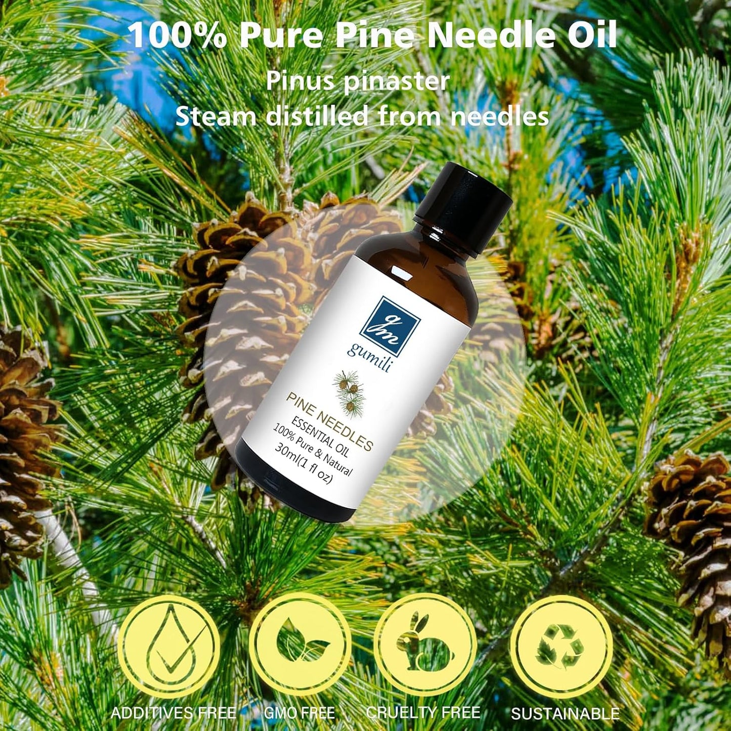 Pine Needle Essential Oil 1 Oz - 100% Pure & Natural Pine Oil for Diffuser, Skin, Massage & Aromatherapy - Fresh Pinus Essential Oils Fragrance