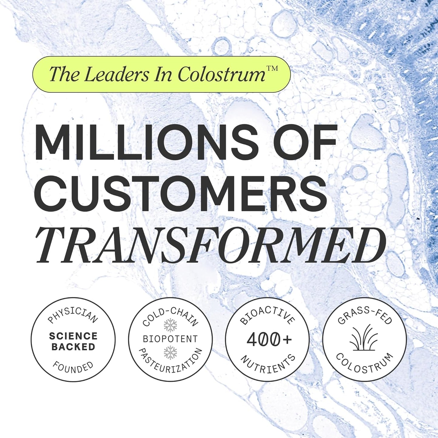 ARMRA Colostrum™ Powder | Vine Watermelon | Gut Health & Bloating | Skin & Hair | Immunity | Keto, Gluten & Fat-Free | 60 Servings